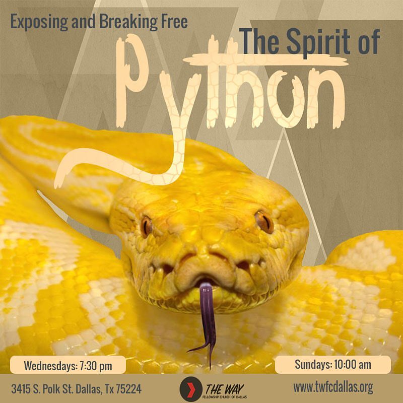 Exposing and Breaking Free: The Spirit of Python Pt. 2