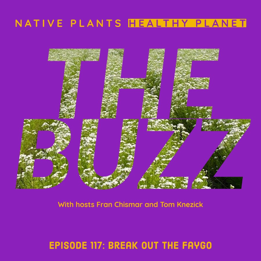 The Buzz -Break Out The Faygo
