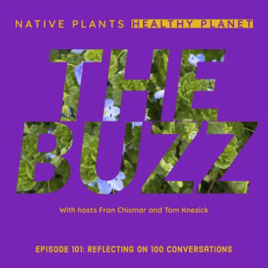 The Buzz - Reflecting On 100 Conversations