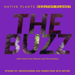 The Buzz - Rediscovering Our Connections With Nature
