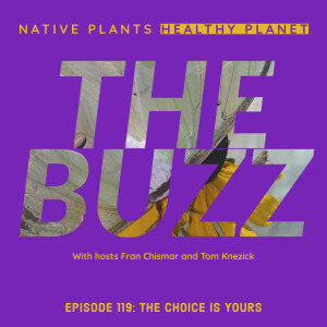 The Buzz - Then Of Course The Choice Is Yours