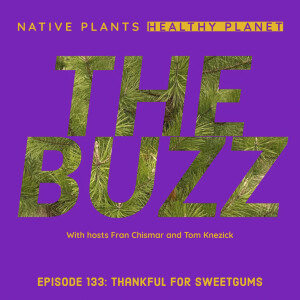 The Buzz - Thankful for Sweetgums