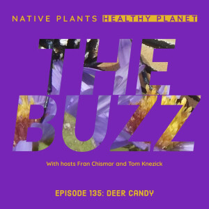 The Buzz -Deer Candy