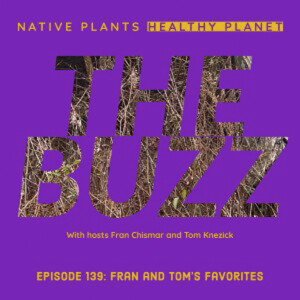 The Buzz - Fran and Tom’s Favorites