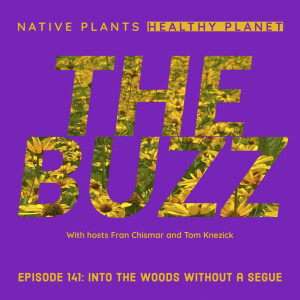 The Buzz - Into The Woods Without A Segue