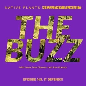 The Buzz - It Depends