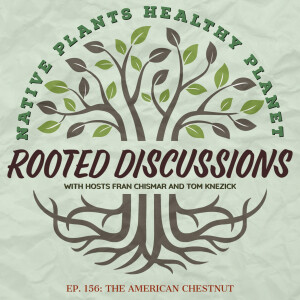 Rooted Discussions - The Demise and Resurgence of The American Chestnut