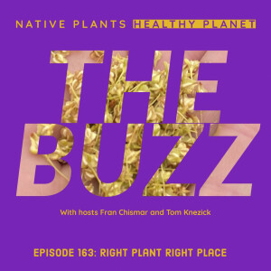 The Buzz - Right Plant Right Place