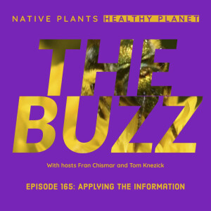 The Buzz - Applying the Information