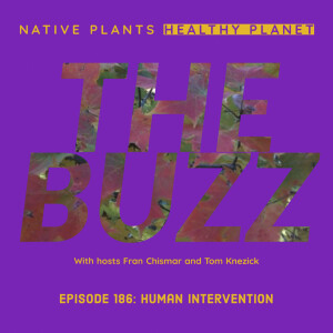 The Buzz - Human Intervention