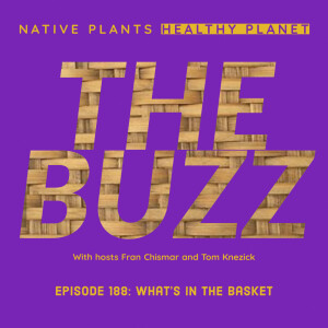 The Buzz - What’s in the Basket?