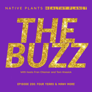 The Buzz - Four Years and Many More