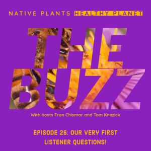 The Buzz - Our Very First Listeners Questions!