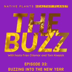 The Buzz - Buzzing into the New Year