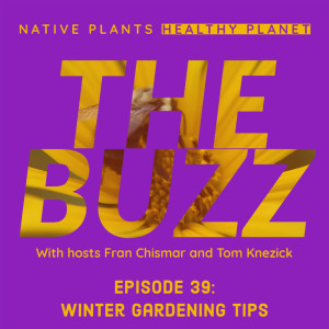 The Buzz - Winter Gardening Tips