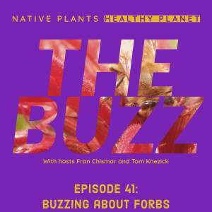 The Buzz - Buzzing about Forbs