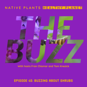 The Buzz - Buzzing about Shrubs