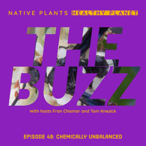 The Buzz - Chemically Unbalanced
