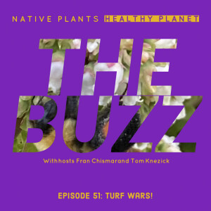 The Buzz -Turf Wars!