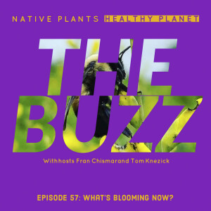 The Buzz - What’s Blooming Now?