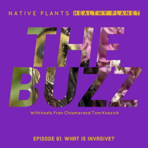 The Buzz - What is Invasive?