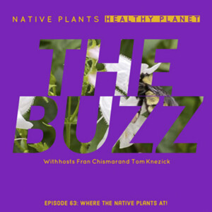 The Buzz - Where the Native Plants at!
