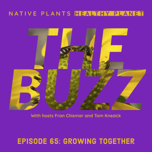 The Buzz - Growing Together