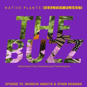 The Buzz - Invasive Insects and Other Musings