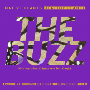 The Buzz - Broomsticks, Cattails, and Bird Ladies