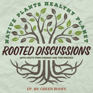 Rooted Discussions - Green Roofs
