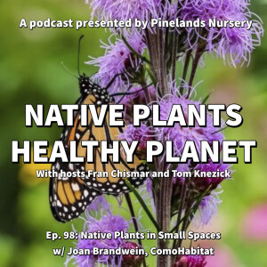 Meet Native Plants In Small Spaces