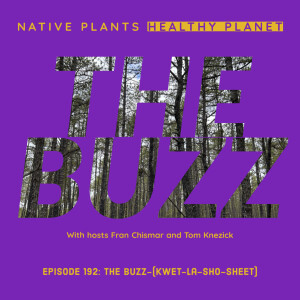 The Buzz - (kwet-la-SHO-sheet)