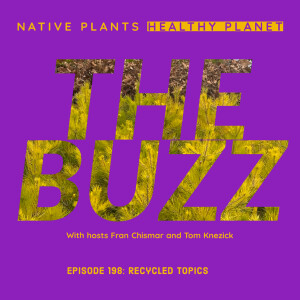 The Buzz - Recycled Topics
