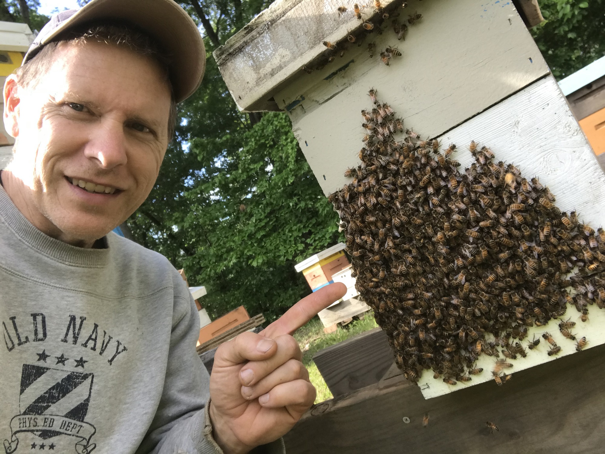 The Treatment-Free Beekeeping Podcast