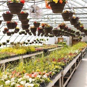 Tips To Grow On with Master Gardener Elisabeth Mollica 10-6-22