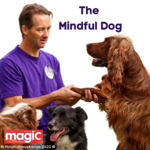What to do with your dog at Christmas - The Mindful Dog - 12/12/2021 - EP79 (The Sunday Cafe - Magic Talk Radio)
