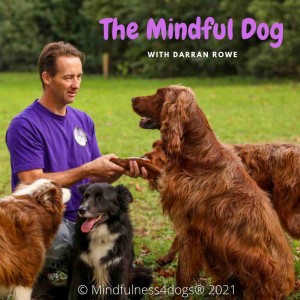 Enriching your dogs life (Part 1) - The Mindful Dog - 26/09/2021 - EP69 (The Sunday Cafe - Magic Talk Radio)