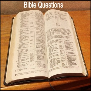 Bible Questions Episode 1 (Introduction to our podcast, How Bible authority is established and more!)