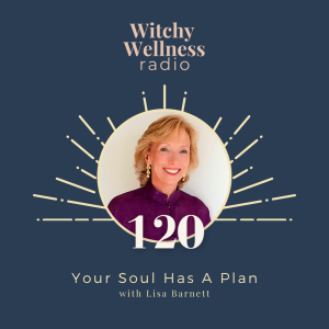 #120 Your Soul Has A Plan with Lisa Barnett