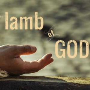 The lamb that was slain has delivered us from death and given us life (OOR 4/14/2022)