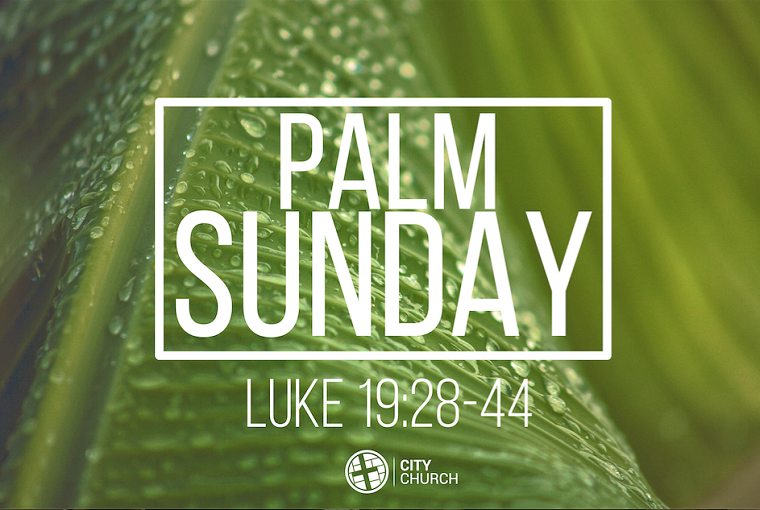 Palm Sunday : A Visit from God 