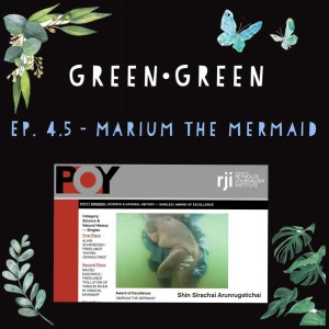 GreenGreen 4.5: Marium the Mermaid
