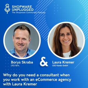 #31 Why do you need a consultant when you work with an eCommerce agency with Laura Kremer