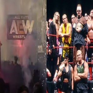 WWP 58 - Rowdy Raging Ronnie Rousey, Torrie Hall of Fame, WWE dropping PG? AEW gets its man