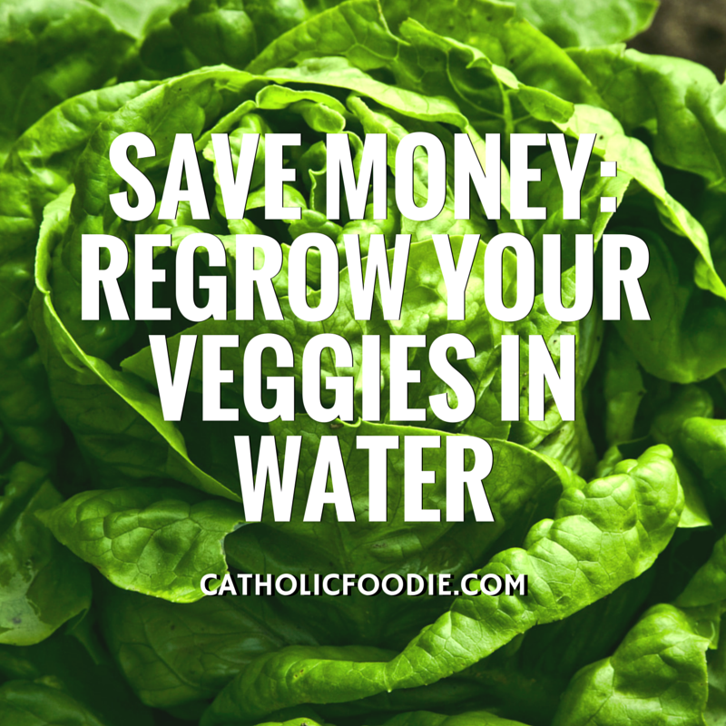 Save Money: Regrow Your Veggies | The Catholic Foodie Show