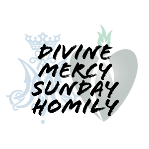Father Jacob Strand; Divine Mercy Sunday, April 7, 2024