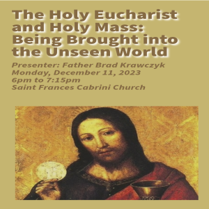 Father Brad Krawczyk: The Holy Eucharist and The Holy Mass: The Unseen World.