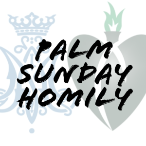 Father Jacob Strand; Palm Sunday Homily, March 24, 2024