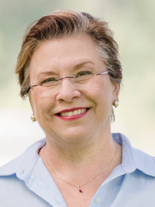 Cathy Myers explains Why She Want to Take Paul Ryan Down 