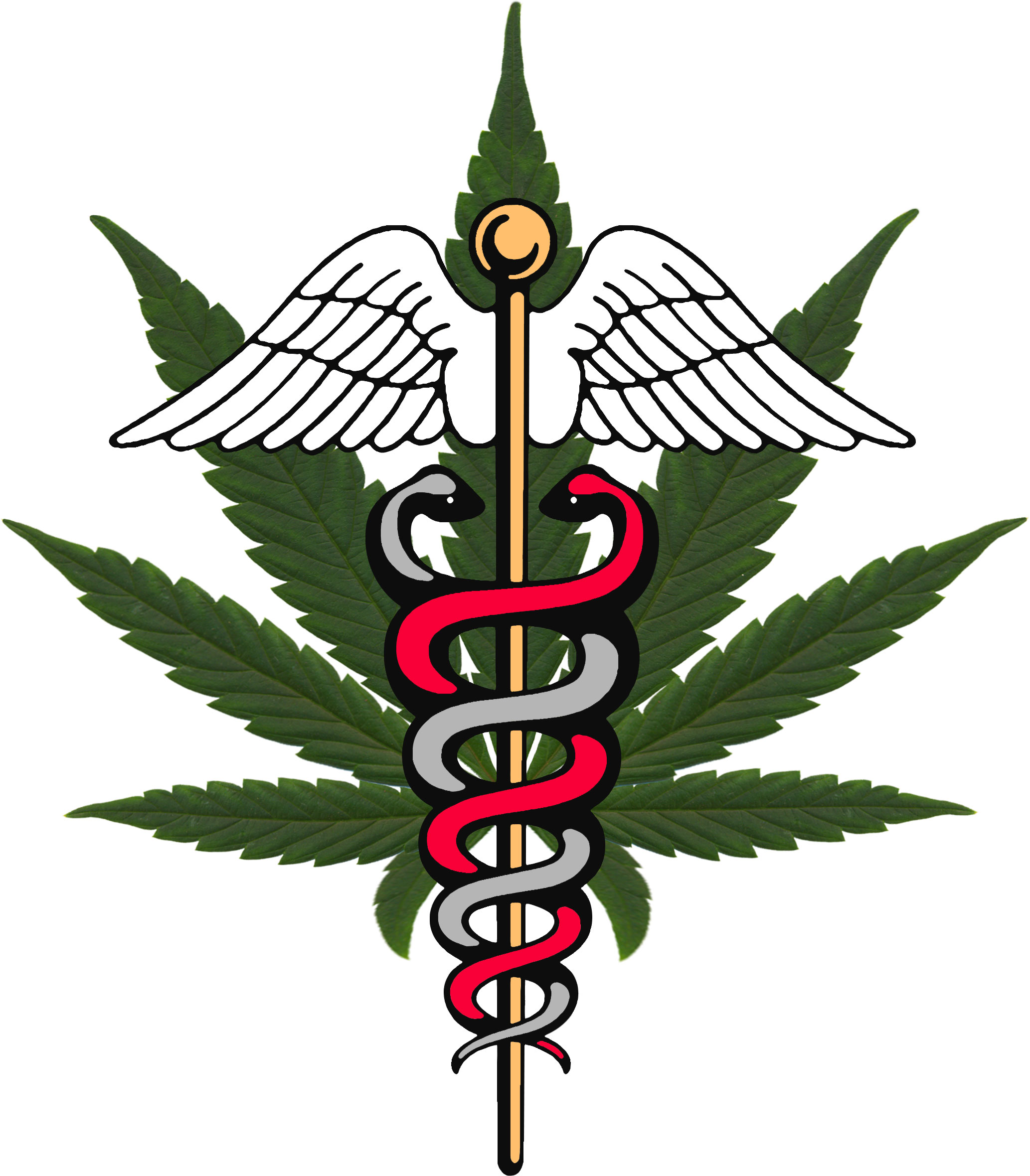 Why is Medical Marijuana Facing So Many Legislative Hurdles In the House?